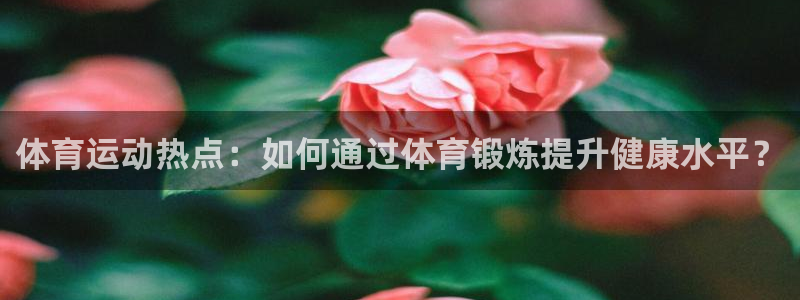 中欧农业产业混合A：体育运动热点：如何通过体育锻炼提升健康水平？
