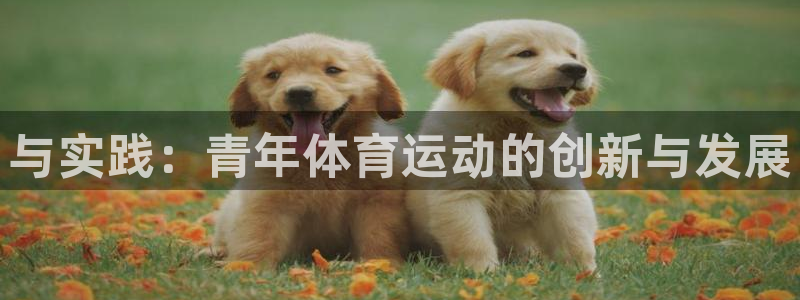 中欧瑞博吴伟志：与实践：青年体育运动的创新与发展