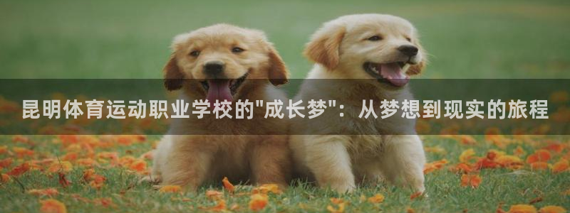 中欧cmo课程