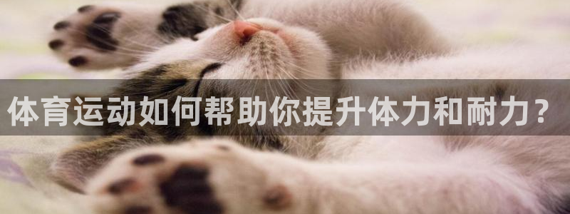 中欧铁路南线最新路线图