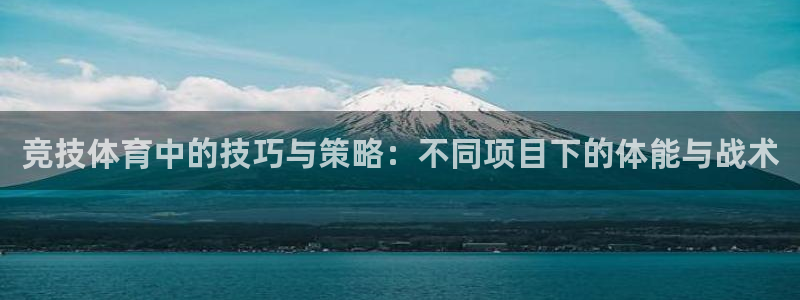 中欧医疗创新股票a：竞技体育中的技巧与策略：不同项目下的体能与战术