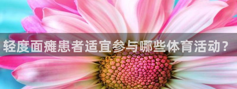 中欧案例库