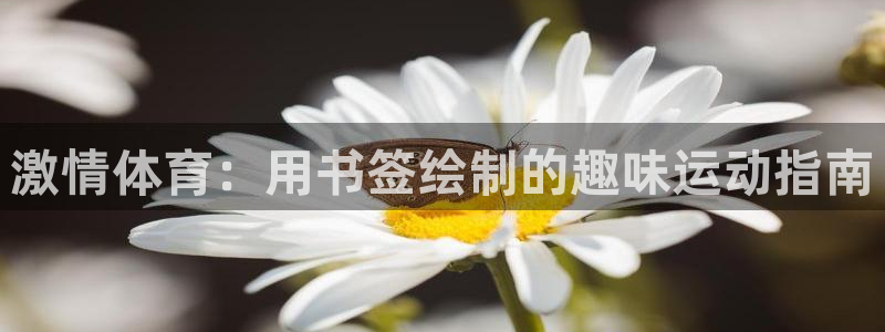中欧MBA面试结果多久出：激情体育：用书签绘制的趣味运动指南