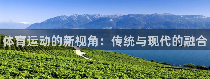 中欧体育网页版