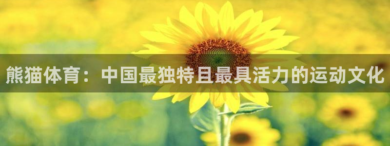 中欧体育kok官方网站