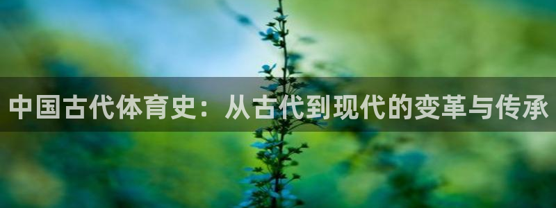 中欧基金管理有限公司：中国古代体育史：从古代到现代的变革与传承