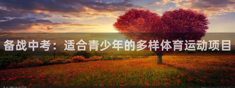 中欧MDP班学费：备战中考：适合青少年的多样体育运动项目